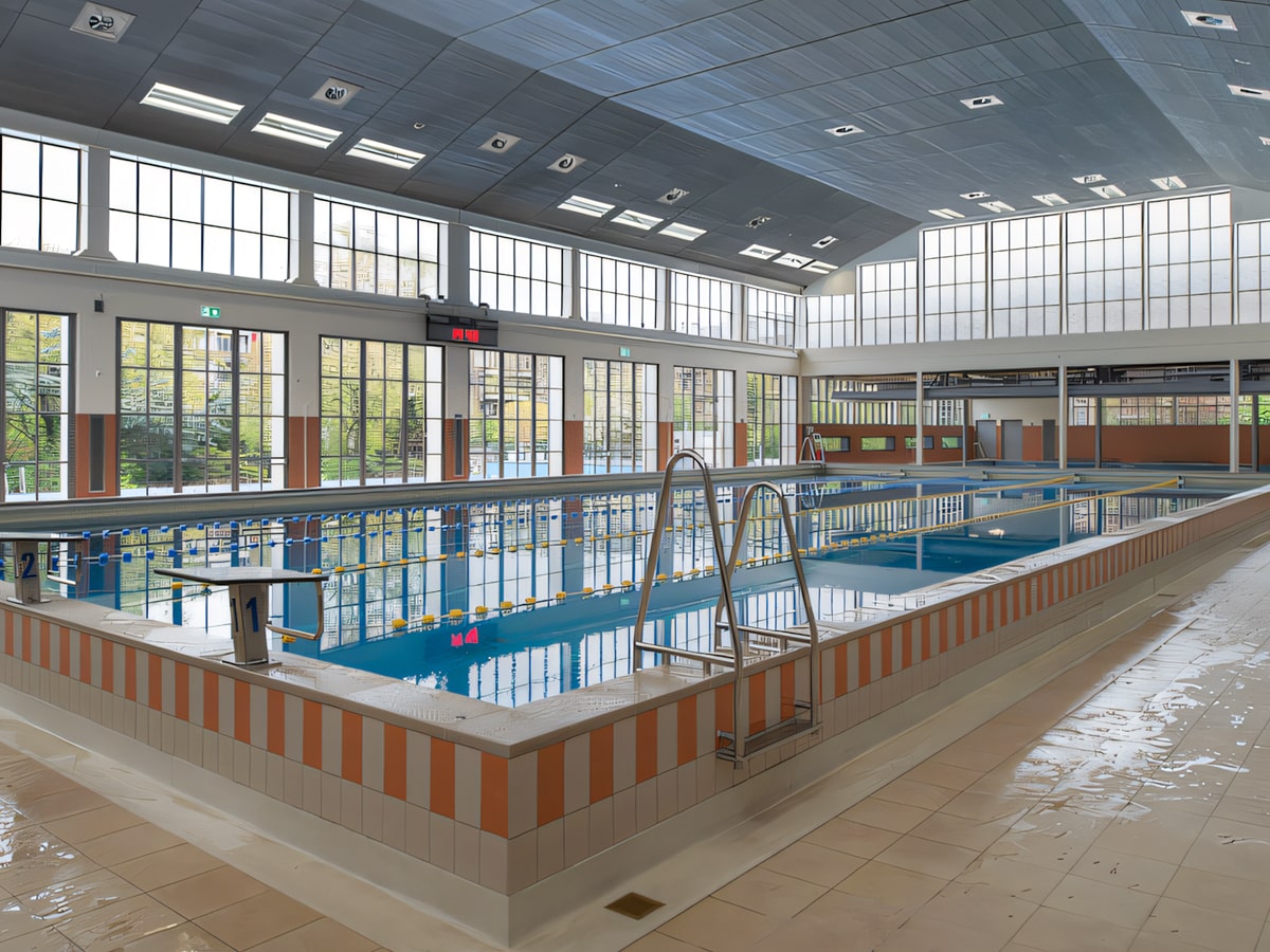 Adult Swim Coach Rotterdam