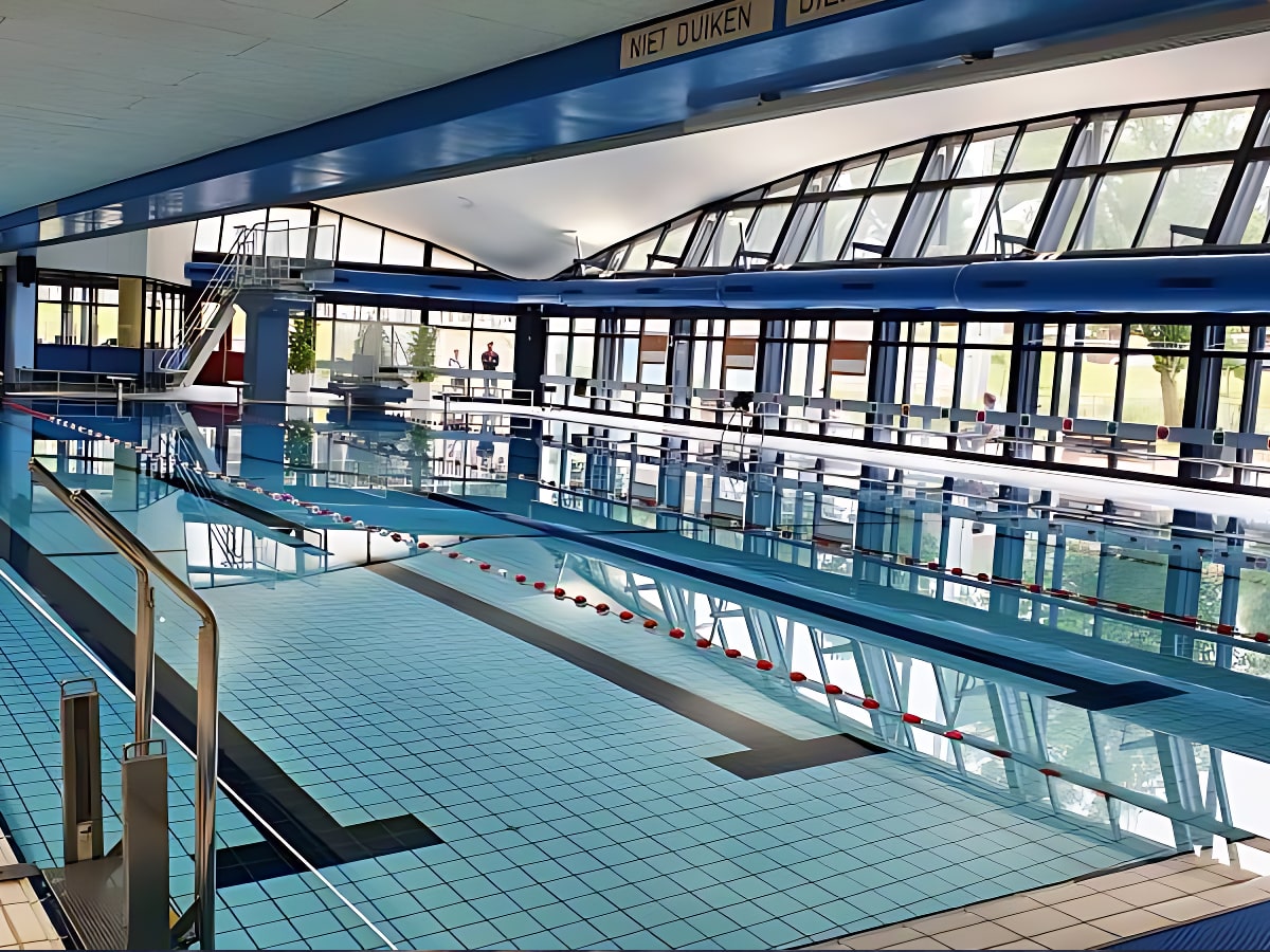 Adult Swim Coaching The Hague2-min (1)